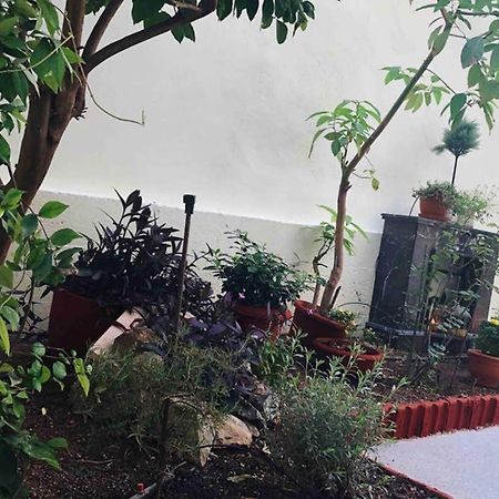 Modern Hospitality, With Private Garden, Athens Appartement Buitenkant foto