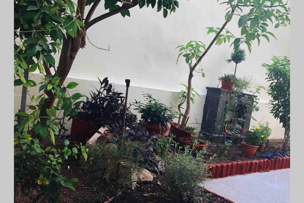 Modern Hospitality, With Private Garden, Athens Appartement Buitenkant foto